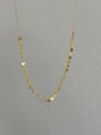 925 | Pul Zincir Kolye