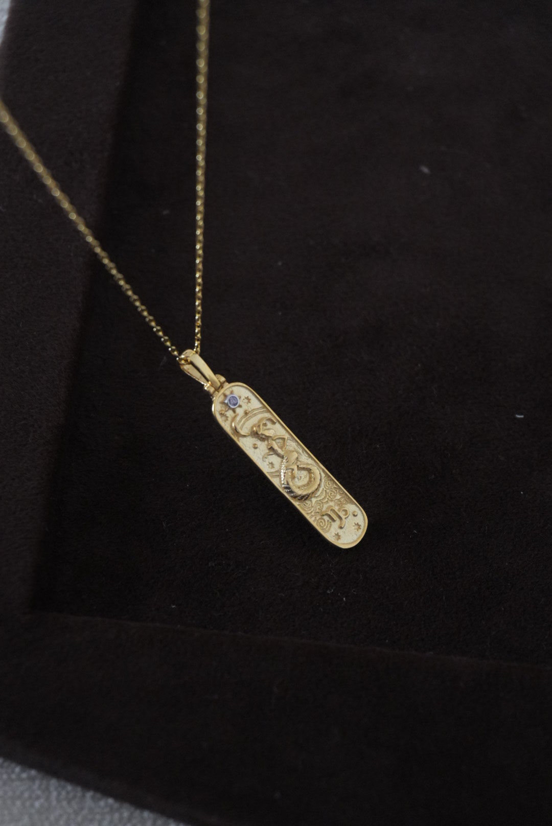 925 | Plaka Burç Kolye